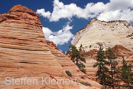 zion np - national park usa 044